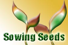 Sowing Seeds